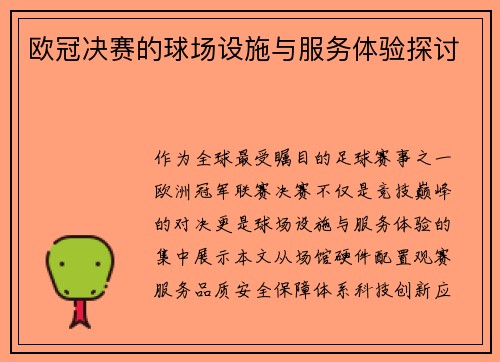 欧冠决赛的球场设施与服务体验探讨