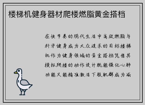 楼梯机健身器材爬楼燃脂黄金搭档